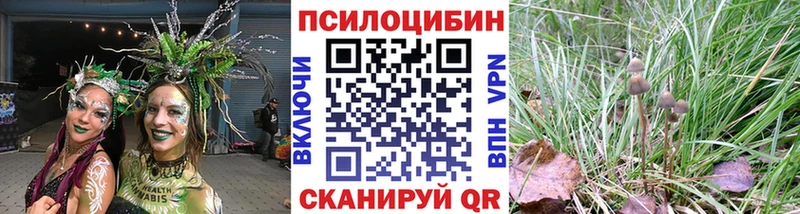 Галлюциногенные грибы Cubensis  Копейск 