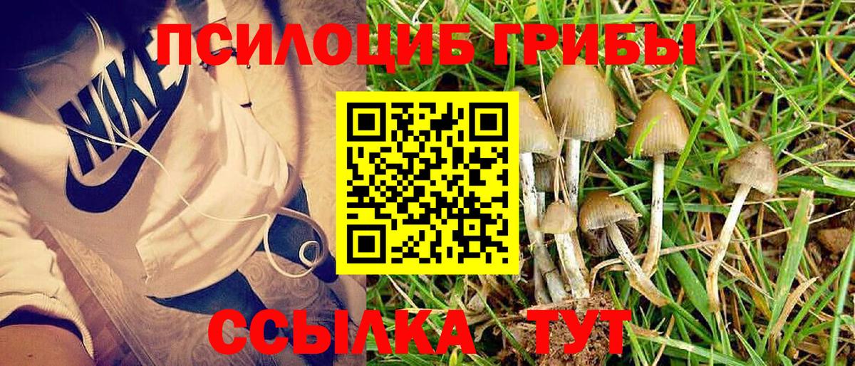 Псилоцибиновые грибы GOLDEN TEACHER Копейск