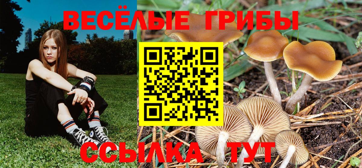 Псилоцибиновые грибы Magic Shrooms  Псилоцибиновые грибы ЛСД  Вход с VPN  Копейск 
