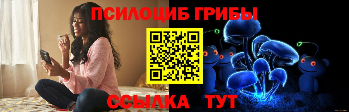 Псилоцибиновые грибы Psilocybe Копейск